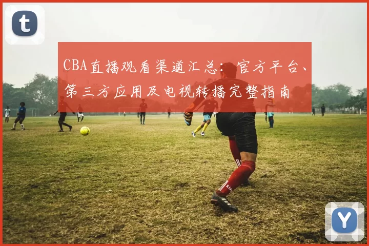 CBA直播观看渠道汇总：官方平台、第三方应用及电视转播完整指南