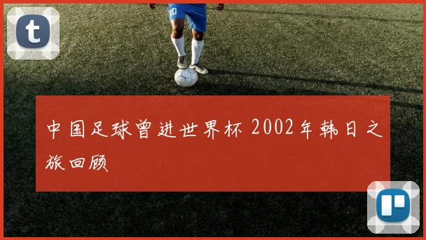 中国足球曾进世界杯 2002年韩日之旅回顾