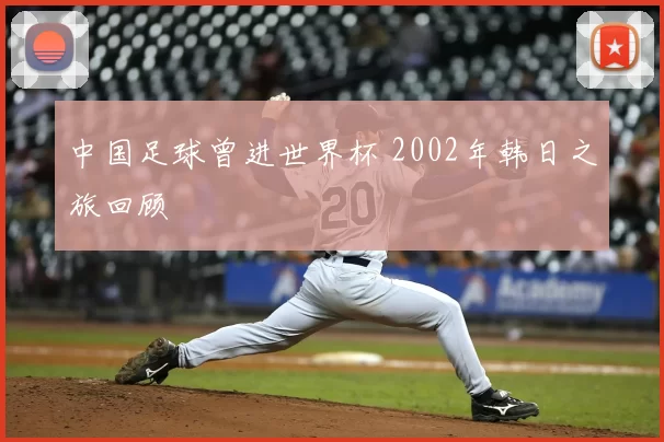 中国足球曾进世界杯 2002年韩日之旅回顾