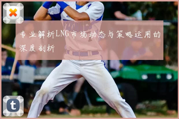 专业解析LNG市场动态与策略运用的深度剖析