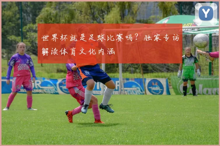 世界杯就是足球比赛吗?独家专访解读体育文化内涵