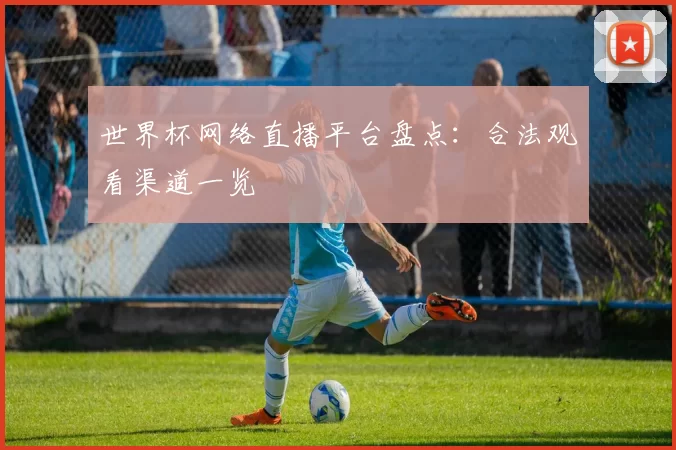 世界杯网络直播平台盘点：合法观看渠道一览