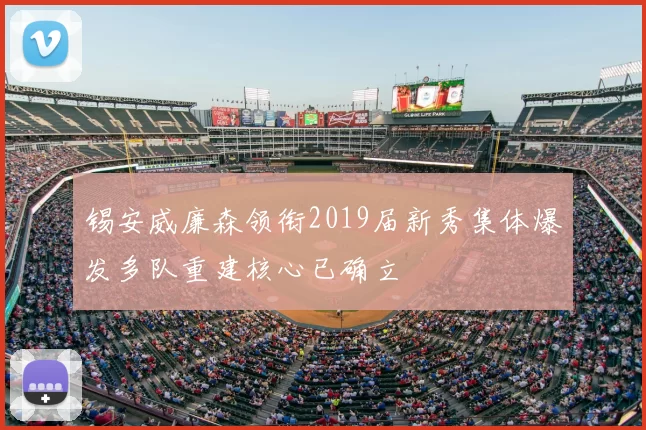 锡安威廉森领衔2019届新秀集体爆发多队重建核心已确立