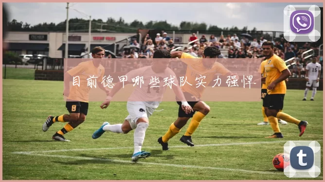 目前德甲哪些球队实力强悍