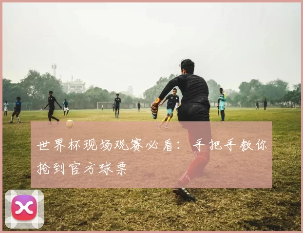 世界杯现场观赛必看：手把手教你抢到官方球票