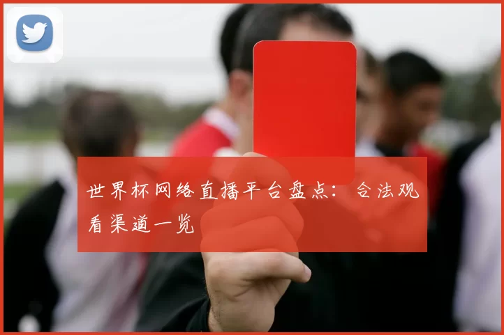 世界杯网络直播平台盘点：合法观看渠道一览
