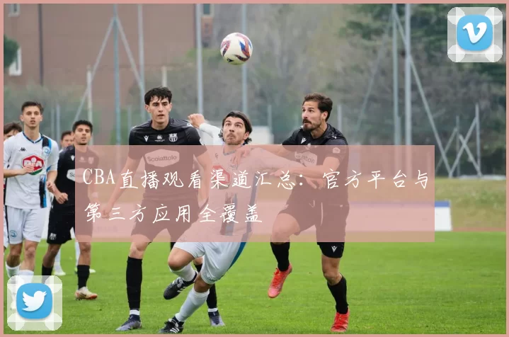 CBA直播观看渠道汇总：官方平台与第三方应用全覆盖