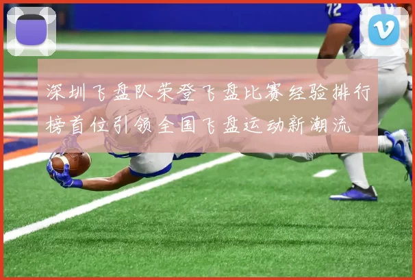 深圳飞盘队荣登飞盘比赛经验排行榜首位引领全国飞盘运动新潮流