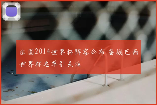 法国2014世界杯阵容公布 备战巴西世界杯名单引关注