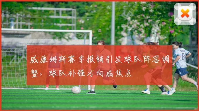 威廉姆斯赛季报销引发球队阵容调整，球队补强方向成焦点