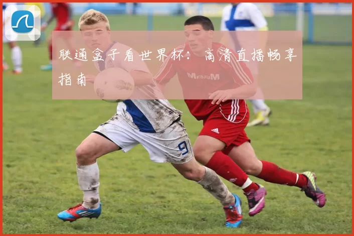 联通盒子看世界杯:高清直播畅享指南