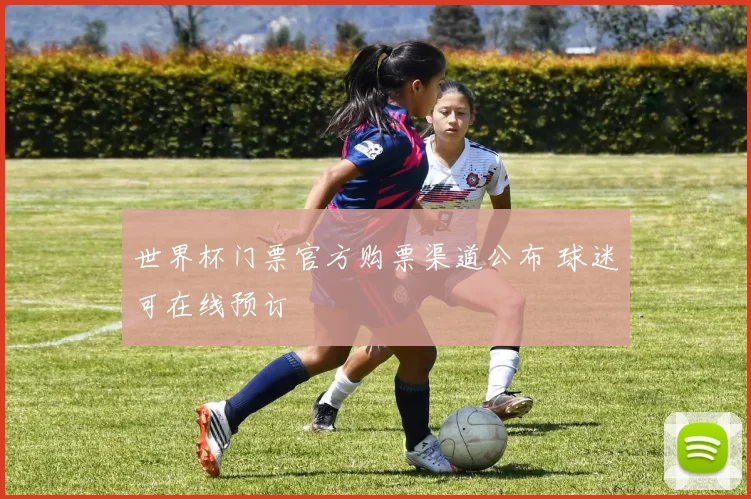 世界杯门票官方购票渠道公布 球迷可在线预订